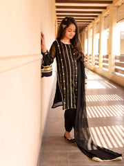 Night Spark- Black Chiffon Embroidered Set