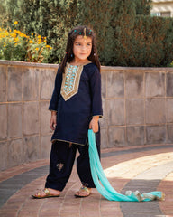 Stary Night - Embroidered Block Print Shalwar Kameez Set