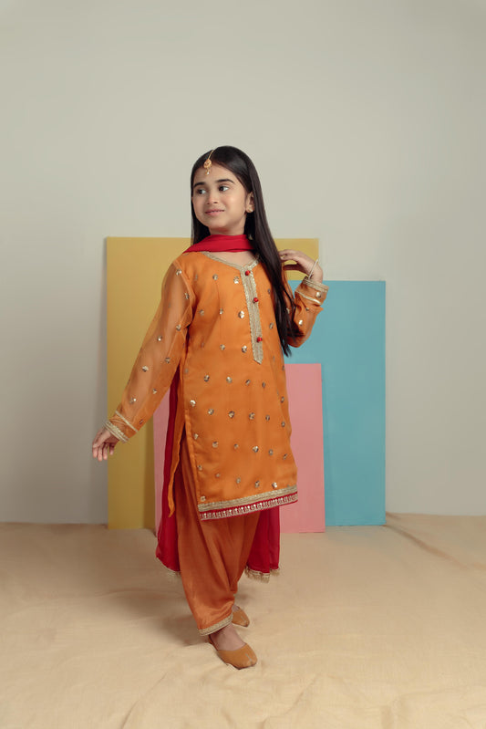 Mustard Magic - Embroidered Shalwar Kameez